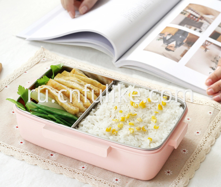 Lunch Box For Adults